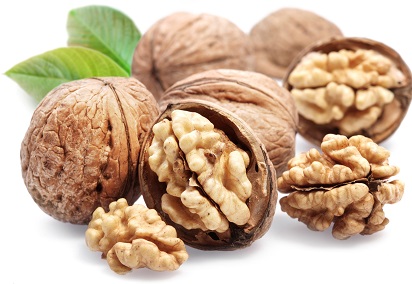 عرضه اینترنتی گردو