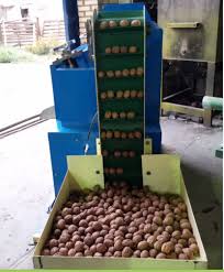 گردو شکن صنعتی