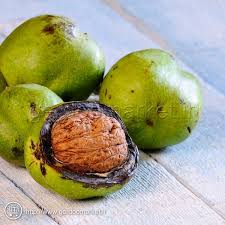 پوست سبز گردو