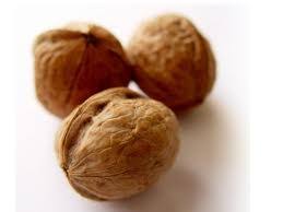 خرید گردو دماوند اصل