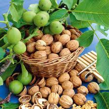 تجارت اینترنتی گردو
