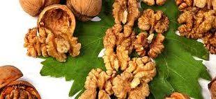 تجارت اینترنتی گردو