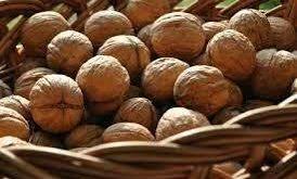 تجارت اینترنتی گردو