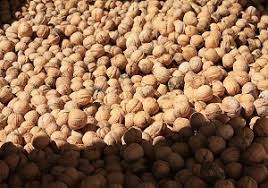 گردو افغانی