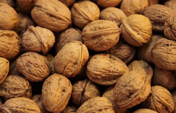 بزرگترین بازار فروش بهترین گردو تویسرکان