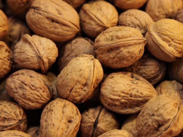 فروش گردو عمده با قیمت استثنایی و ویژه