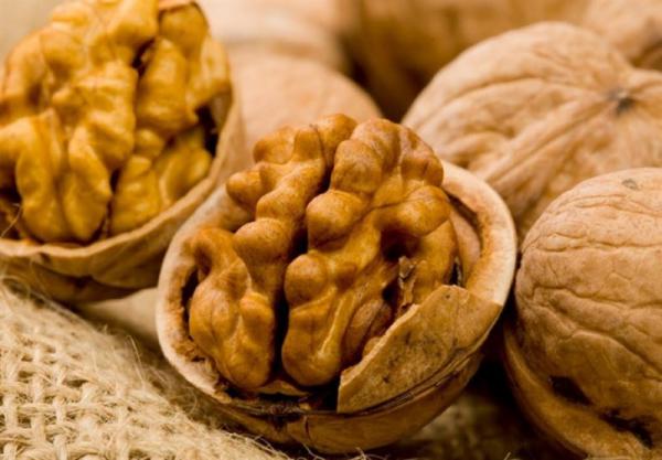 شرکت های پخش و فروش عمده گردو تازه و خوشمزه تویسرکان