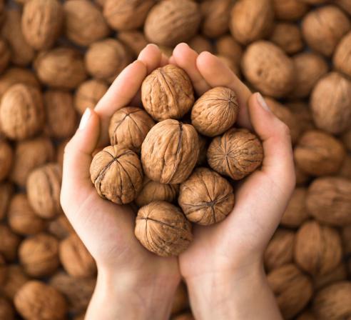 خرید انواع گردو درجه یک و اعلا از سایت های تخصصی
