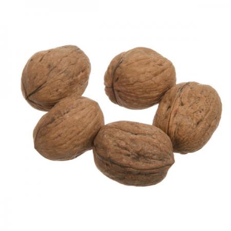 فروشندگان انواع گردو تویسرکان در ایران