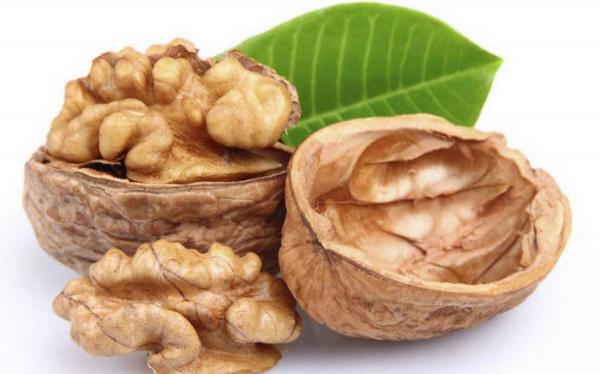 صادرات عمده گردو به کشور های خارجی