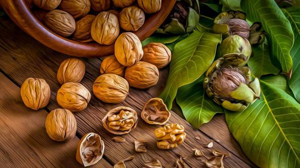 فروش گردو با پوست چوبی و سبز در بازار