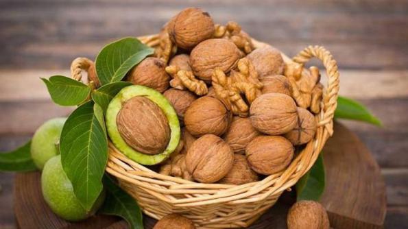 محل فروش بهترین انواع مغز گردو با پوست سبز