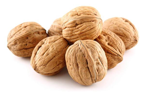 تجارت گردو پوست کاغذی ارزان قیمت