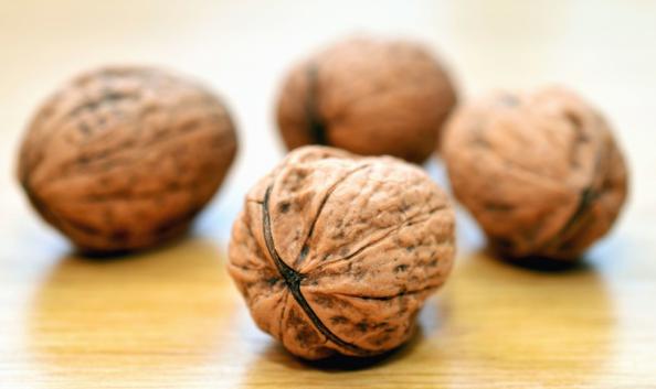 خرید مستقیم بهترین گردو درجه یک صادراتی