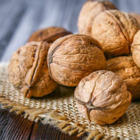 فروش آنلاین گردو به صورت عمده و جزئی