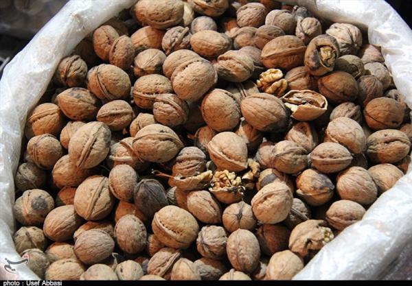 قیمت هر کیلو گردو و مغز گردو در بازار کشور