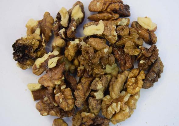 خرید مغز گردو به صورت مستقیم از کشاورز