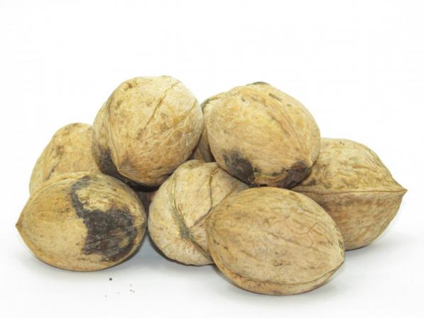 فروشگاه اینترنتی عرضه بهترین گردو خارجی و ایرانی