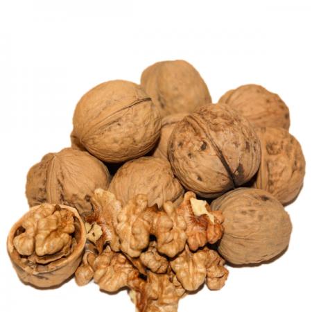 خریدار گردو همدان با بهترین قیمت و کیفیت