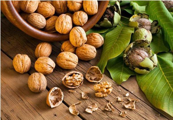 سایت عرضه انواع گردو به صورت مستقیم