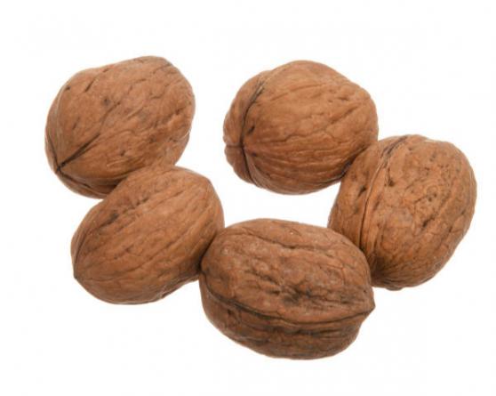 خرید و سفارش اینترنتی گردو مرغوب از سایت های تخصصی