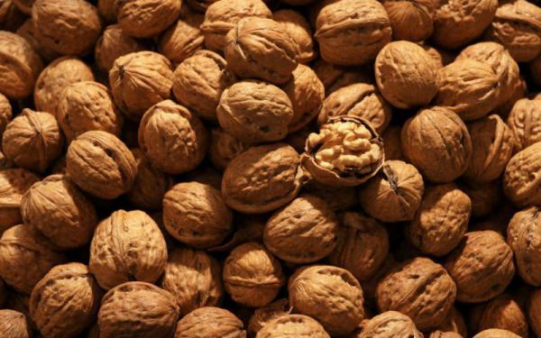 ارزانترین و پایین ترین قیمت گردو در سال 98