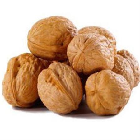 بازار فروش باکیفیت ترین گردو درجه یک ارزان