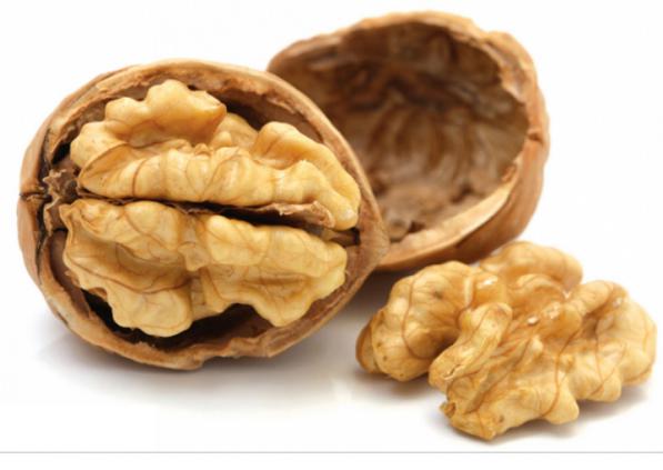 قیمت گردو مراغه ای در بازار کشور چقدر است؟