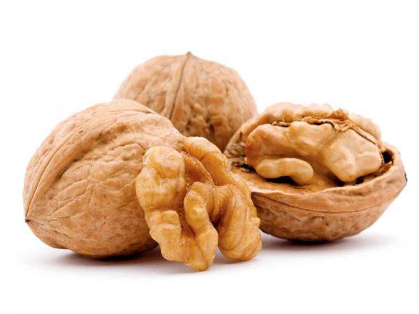 صادرات عمده انواع گردو درجه یک پوست کاغذی