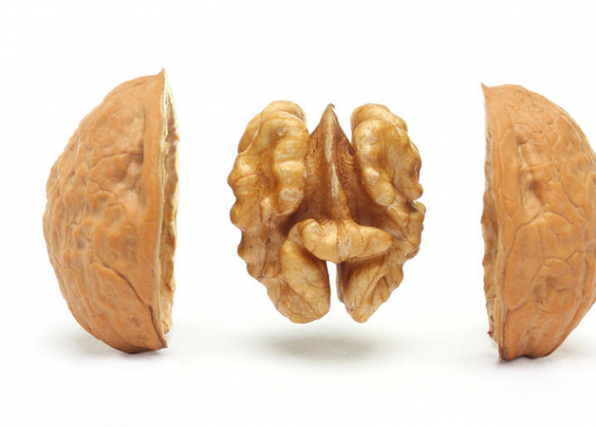 گردوی کاغذی را با قیمت مناسب تر بخرید