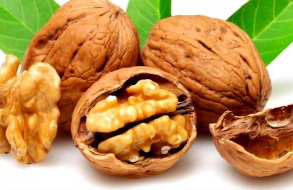 فروش گردو تویسرکان با قیمت ویژه و باورنکردنی