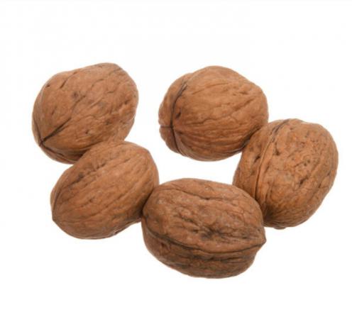 بزرگترین عرضه کننده گردو ایرانی و خارجی ارزان