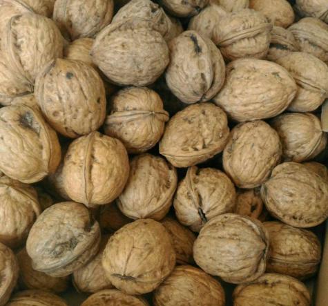 فروش گردو پوست کاغذی اعلا در بازار همدان