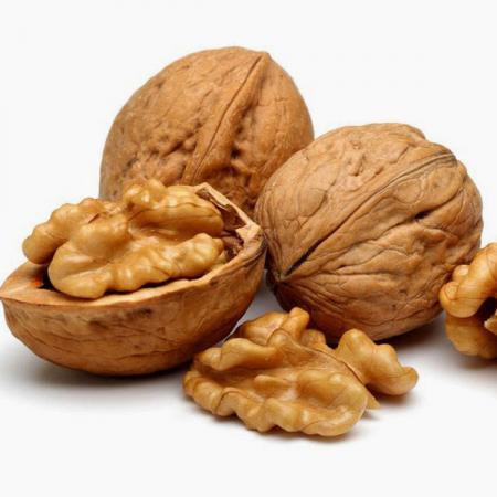 خرید بهترین گردو کاغذی ارزان قیمت در بازار ایران