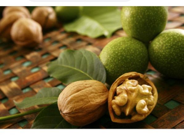 خرید اینترنتی انواع مختلف گردو با قیمت باورنکردنی