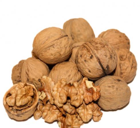 مراکز پخش عمده گردو و خرید ارزانتر آن