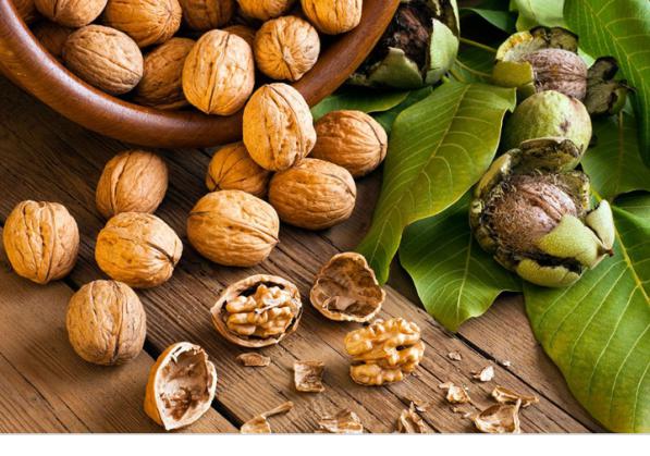 تامین کننده بهترین گردو در سال 98