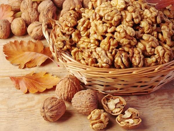 چگونگی و روش های خرید انواع گردو ارزان قیمت