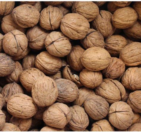 بزرگترین مرکز خرید و فروش گردو در مراغه