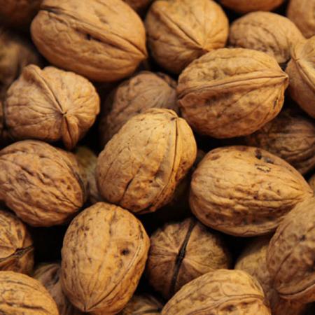 گردو فله ای را با قیمت عمده خریداری کنید