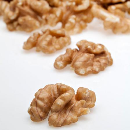 خرید گردو اینترنتی با نازلترین قیمت به صورت عمده