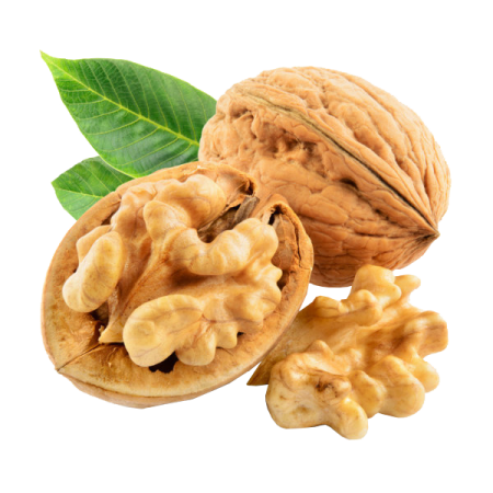 بزرگترین مراکز فروش گردو تویسرکان همدان