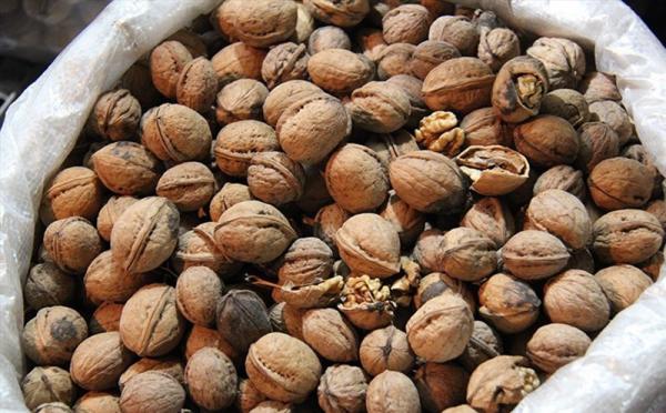 فروش ویژه و استثنایی بهترین گردو کیلویی