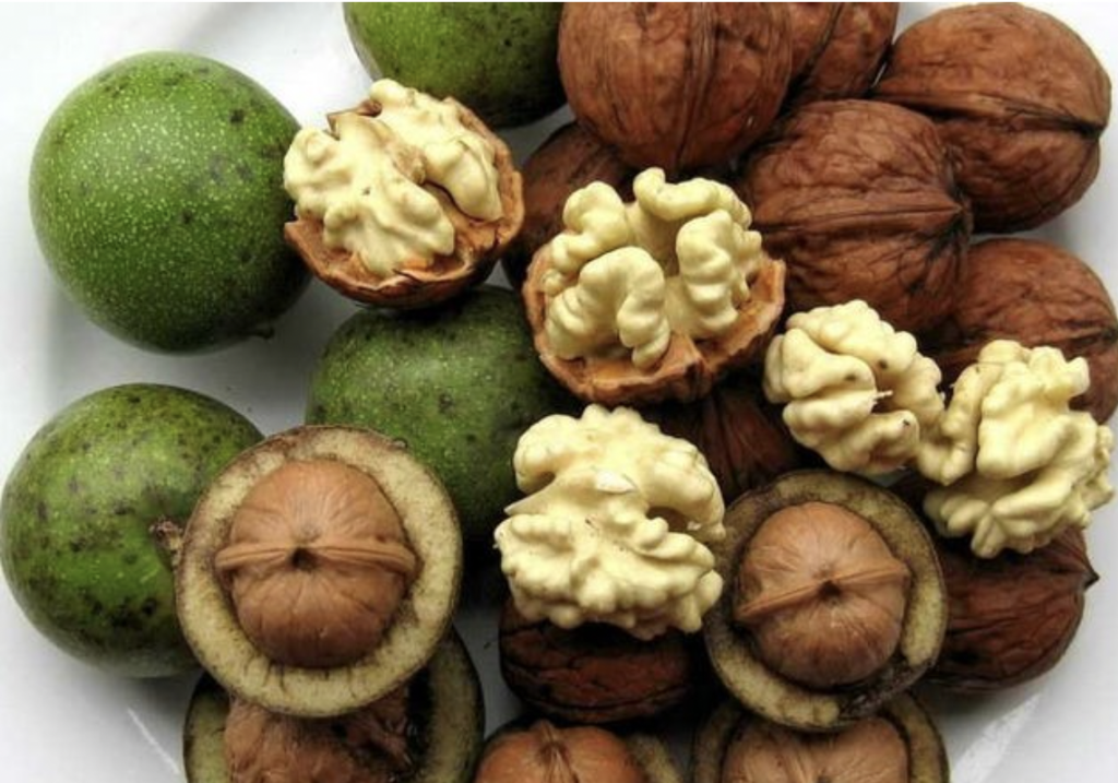 قیمت گردو تازه