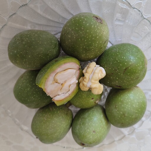قیمت گردو تازه