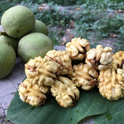 قیمت گردو تازه