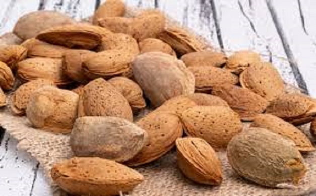 قیمت بادام درختی