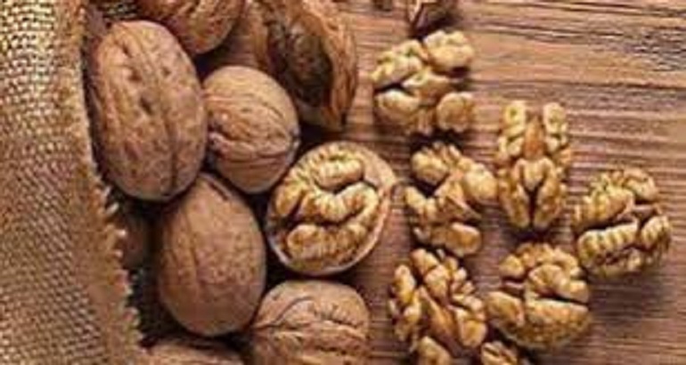 قیمت گردو کاغذی