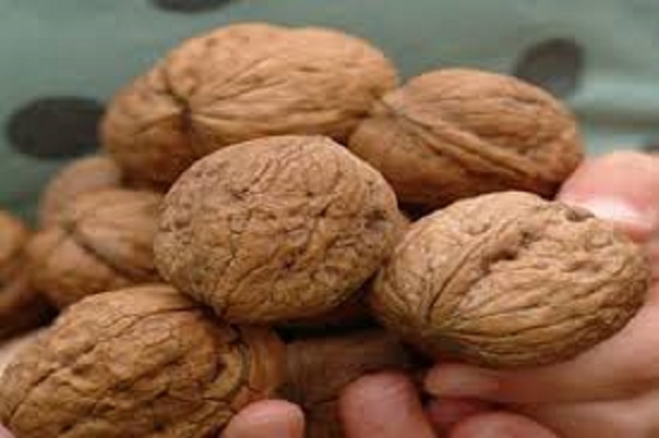 گردو با پوست