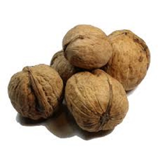 قیمت گردو با پوست